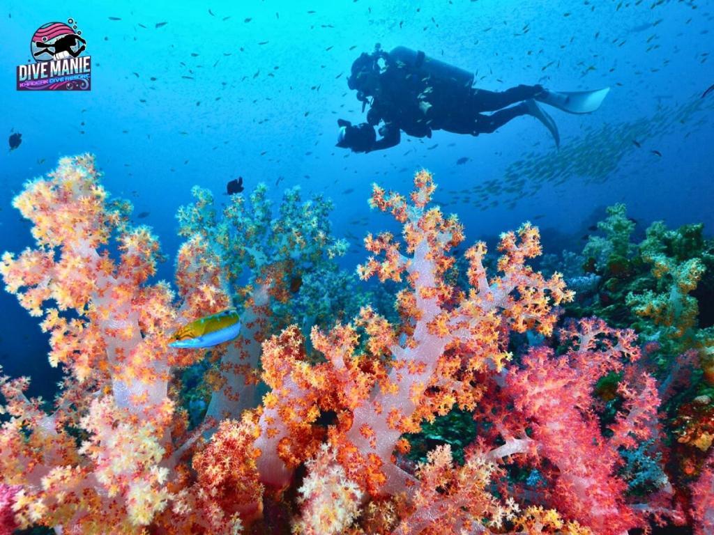 Khaolak Dive Resort خاو لاك المظهر الخارجي الصورة