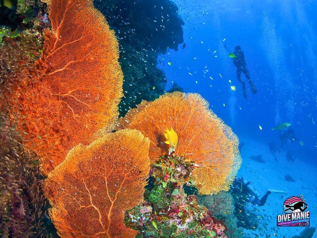 Khaolak Dive Resort خاو لاك المظهر الخارجي الصورة